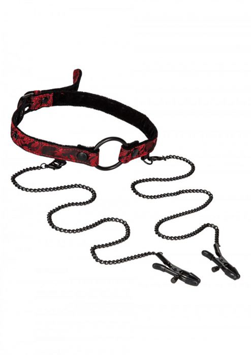 Φωτογραφία