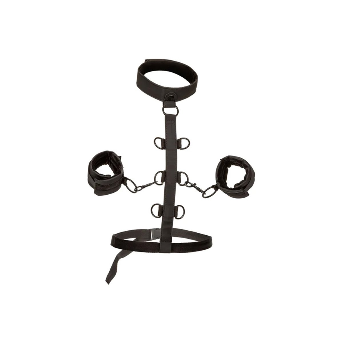 CALEXOTICS+%2D+BOUNDLESS+COLLAR+RESTRAINT