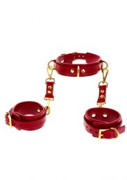 Taboom - D-ring Collar And Wrist Cuffs