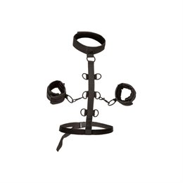 CALEXOTICS - BOUNDLESS COLLAR RESTRAINT