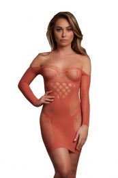 LE DESIR - LONG SLEEVED NET MINI DRESS