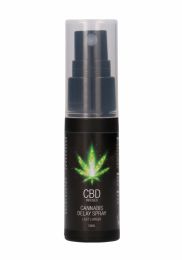 CBD - CANNABIS DELAY SPRAY 15 ML